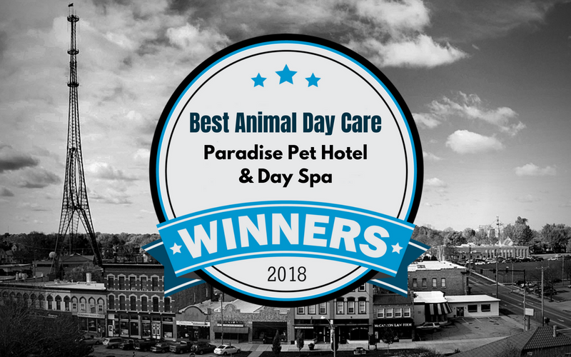 Best Animal Day Care